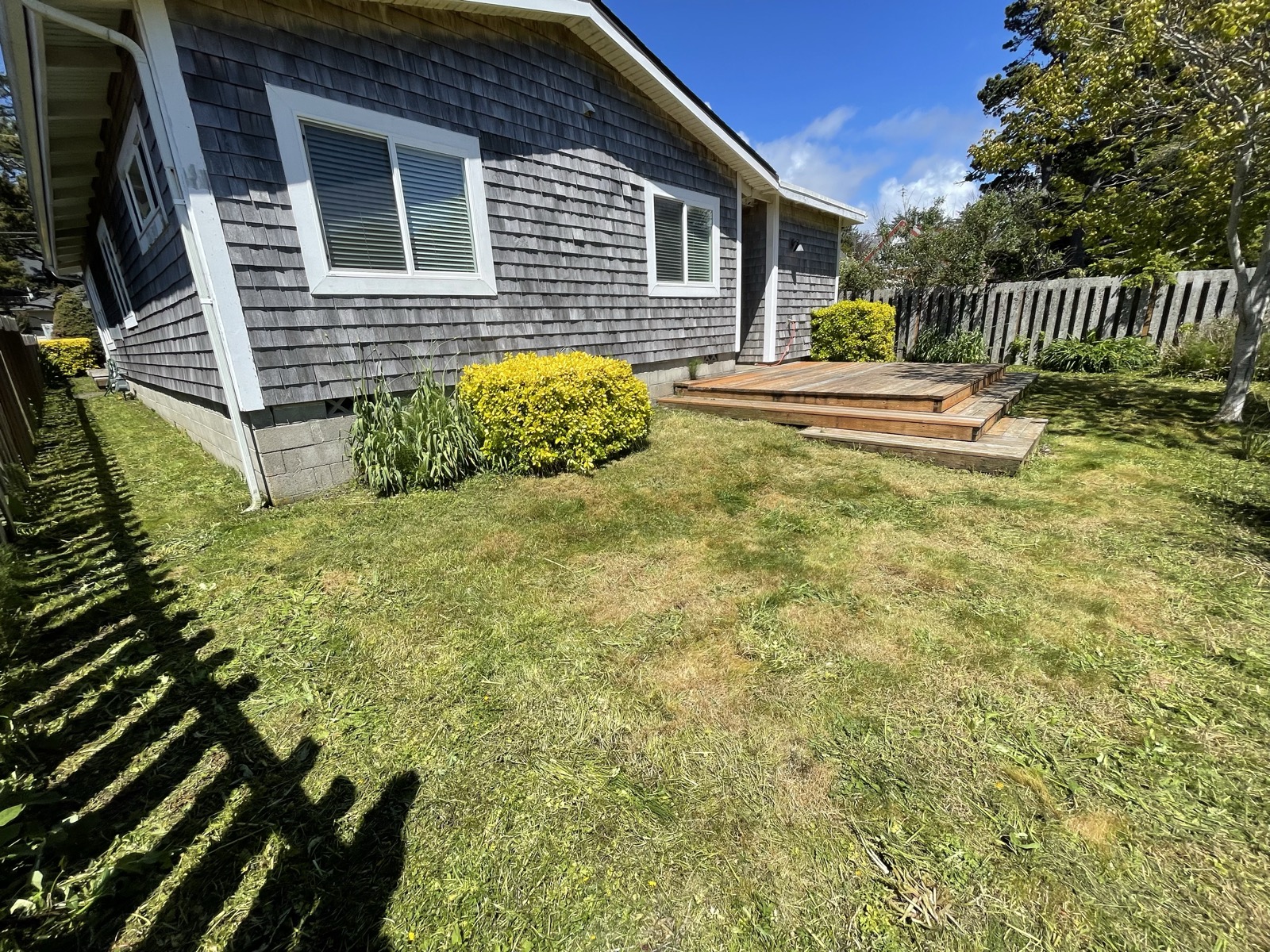 Yard after Joshua's care